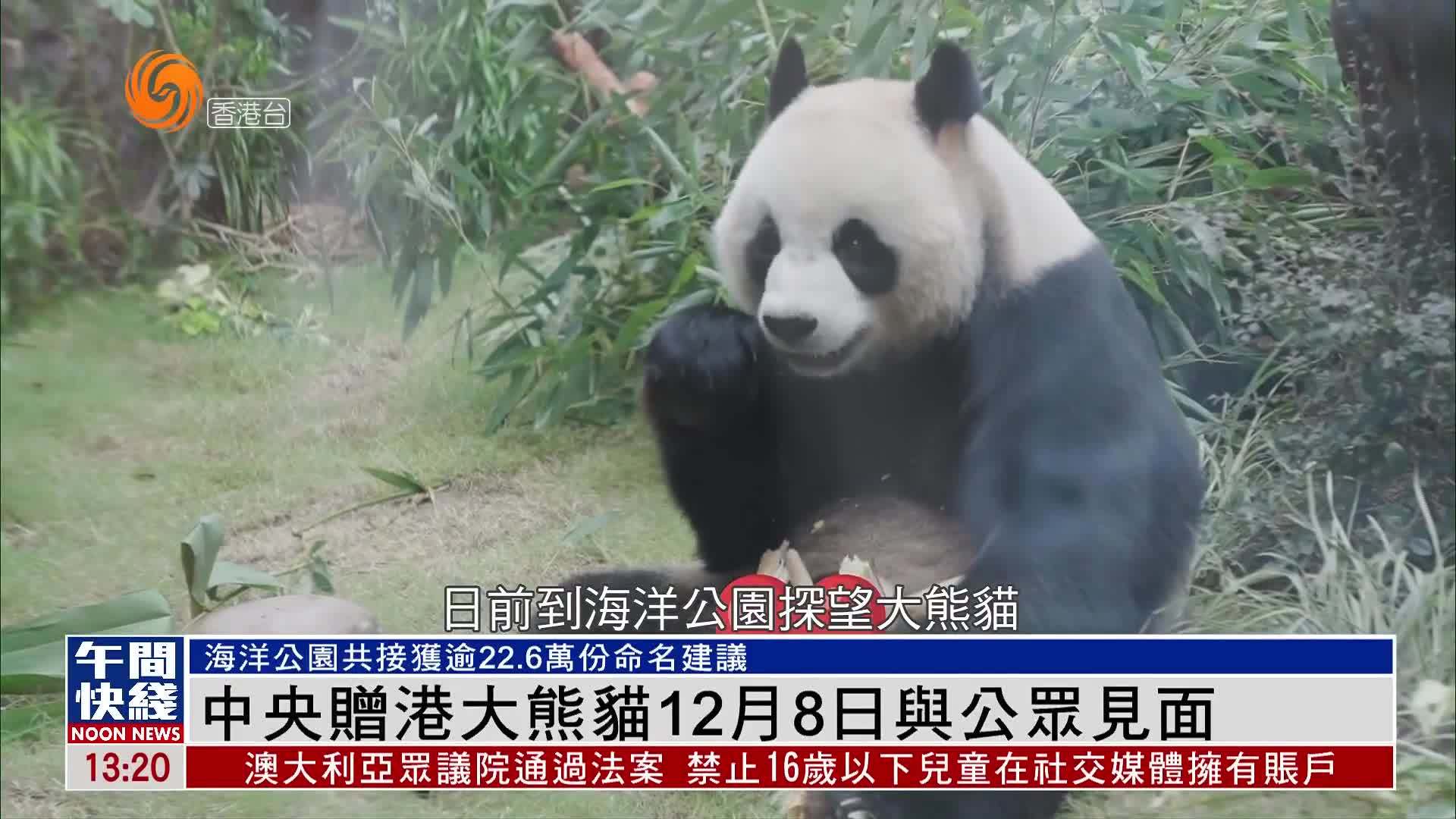 粤语报道｜中央赠港大熊猫12月8日与公众见面_凤凰网视频_凤凰网