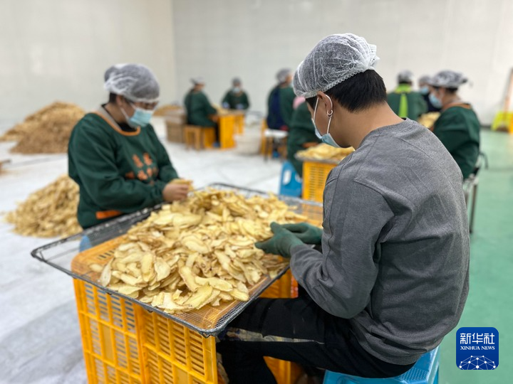 【再“瞰”陇之南】中国西部村民家门口就业增收