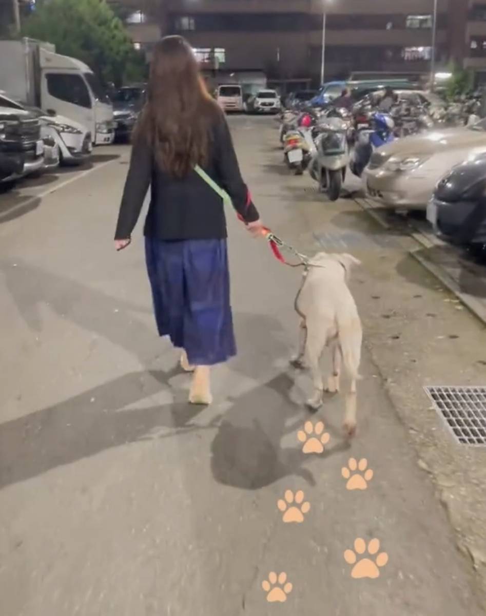 郭碧婷遛狗日常尽显闲适生活。