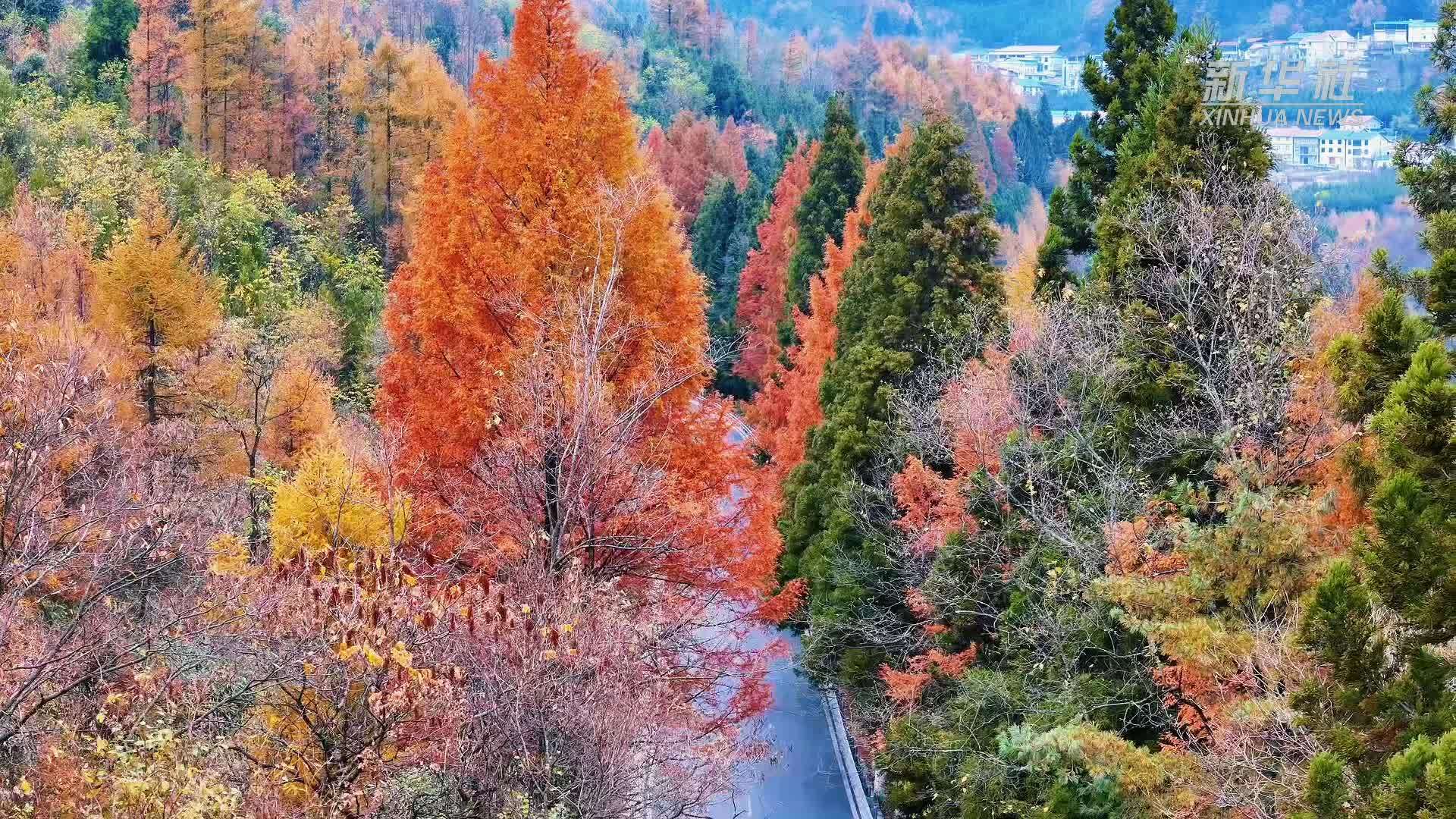 瞰中国｜湖北建始：初冬美景亦斑斓