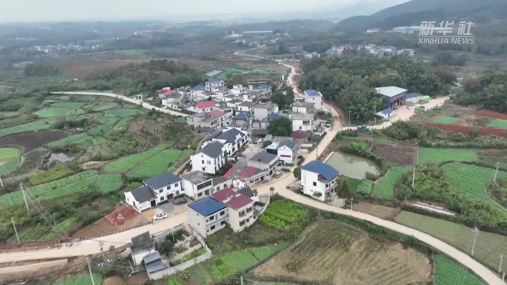 江西湖口：“甜蜜产业”铺就乡村“致富路”