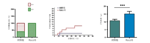 点击查看原始图片