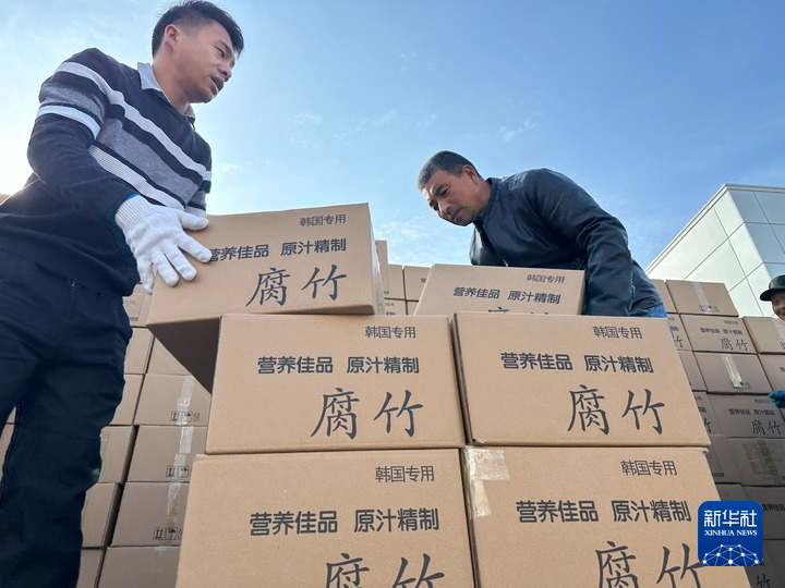 【再“瞰”陇之南】中国西部村民家门口就业增收