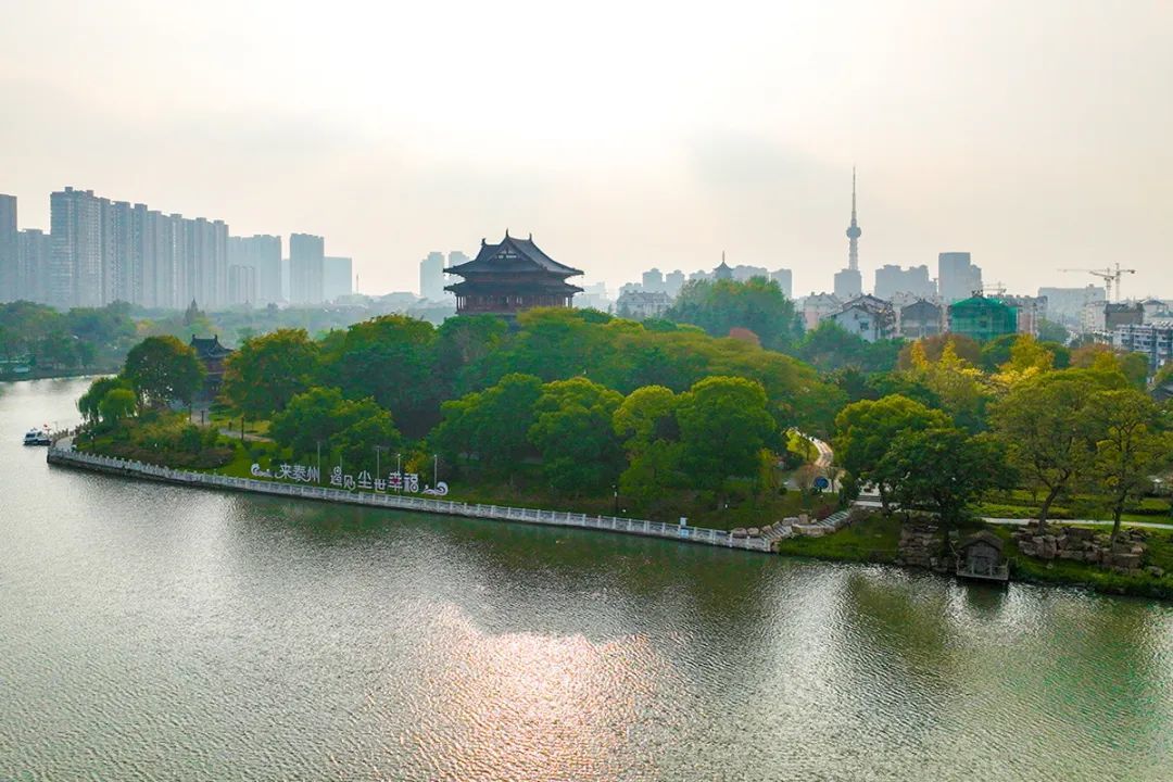 在海陵遇见初冬的浪漫