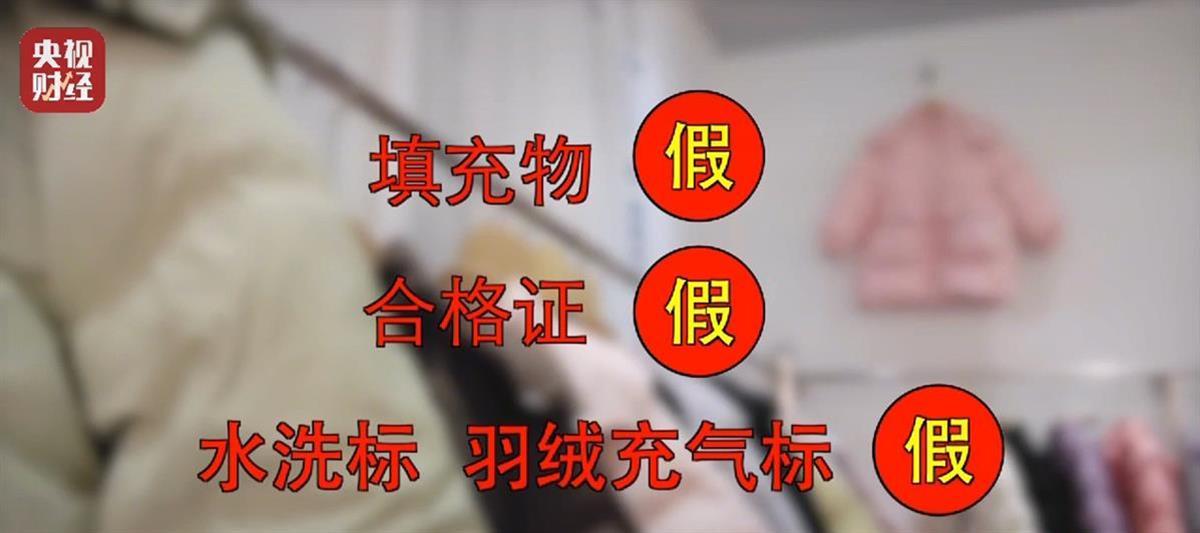 央视财经报道截图