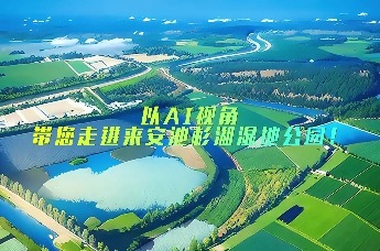 AI视角下的来安池杉湖湿地公园，你见过吗？