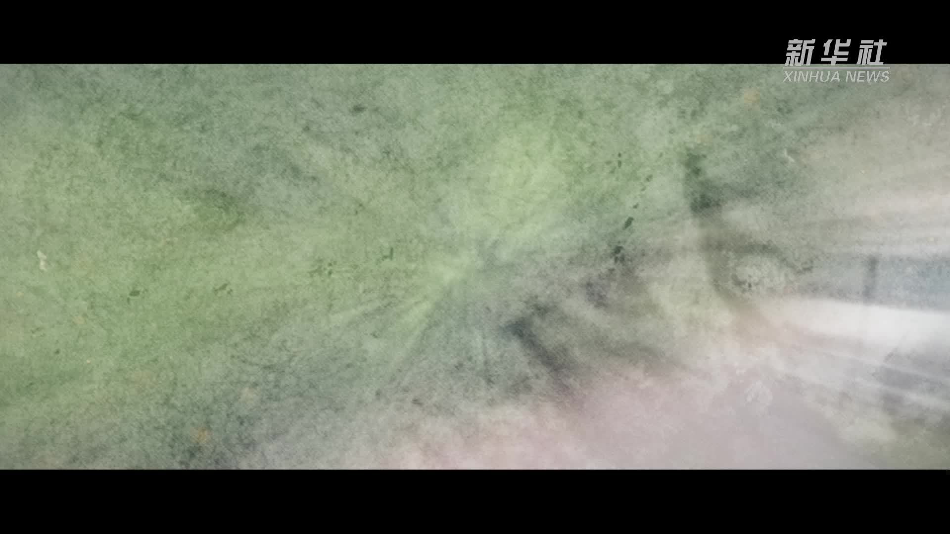 新华全媒+｜往来交织 抵田连户 农村公路路路通