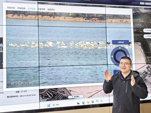 11月20日，在南大港产业园智能监控室，工作人员展示通过AI监测设备对鸟类进行不打扰的监测。 本报记者 冯 阳摄