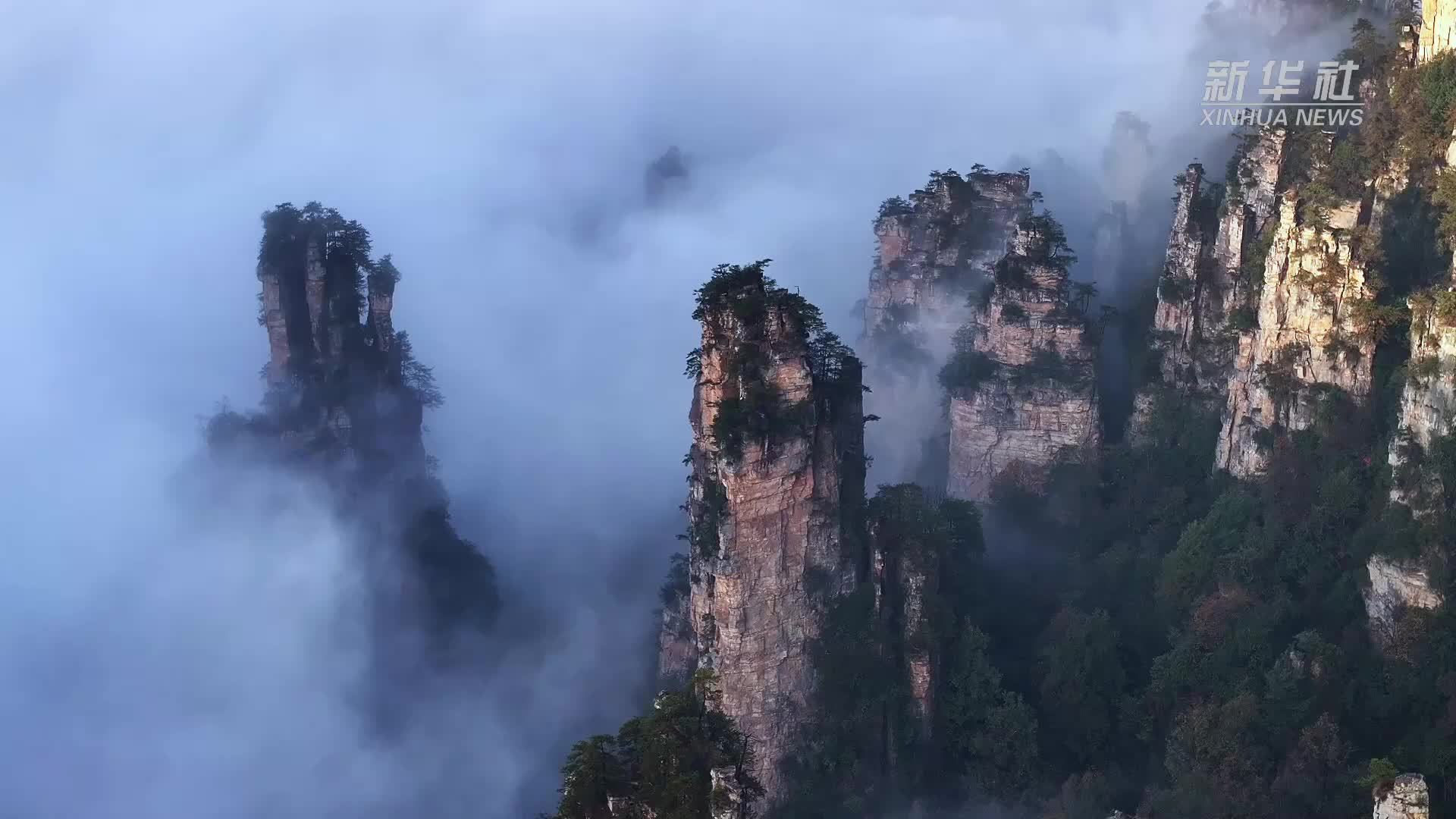 湖南张家界：雨后云海绘就“峰林油画”