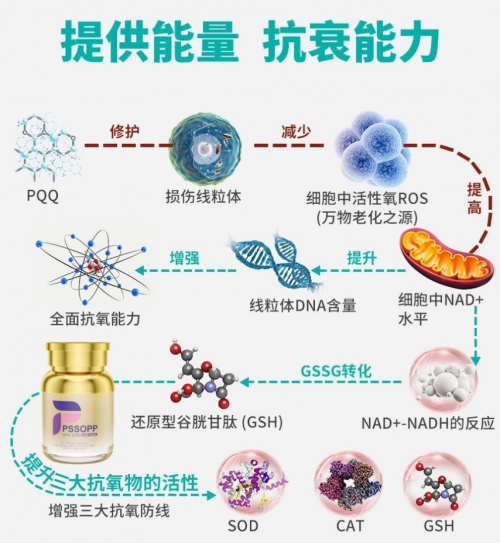 点击查看原始图片