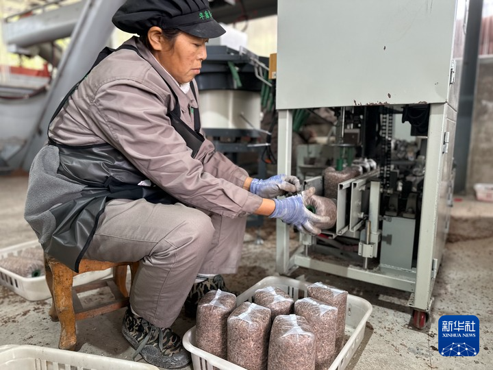 【再“瞰”陇之南】中国西部村民家门口就业增收