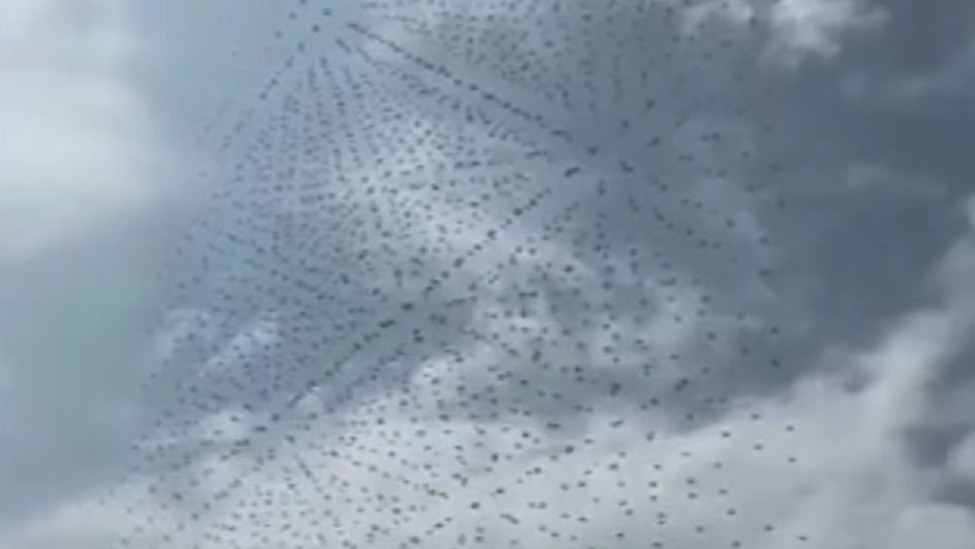 马斯克转发中国无人机蜂群视频：现在还有傻子生产F-35载人战机呢