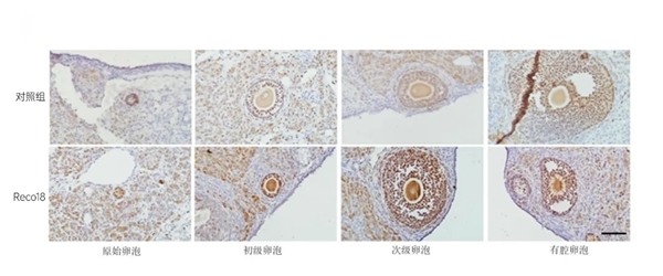 点击查看原始图片