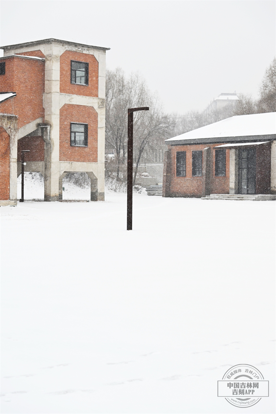 园区内的每一个角落，都散发着纯净与美好的气息，尽显静谧之美。