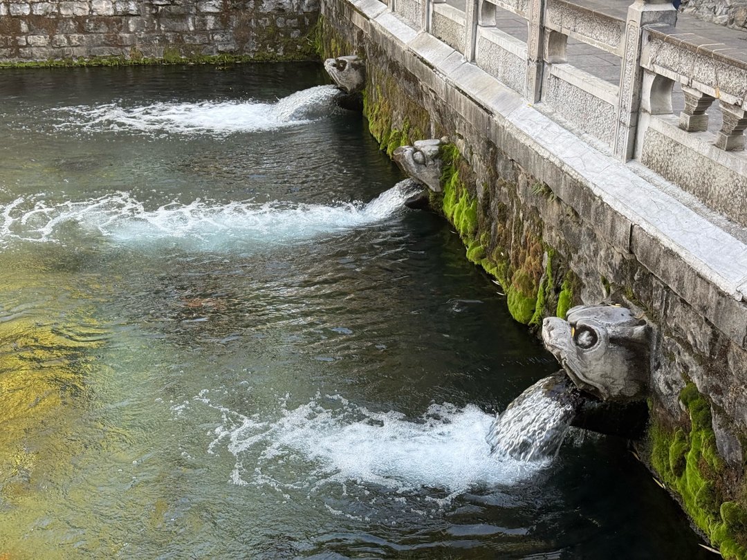 冬日黑虎泉 柳叶犹青青