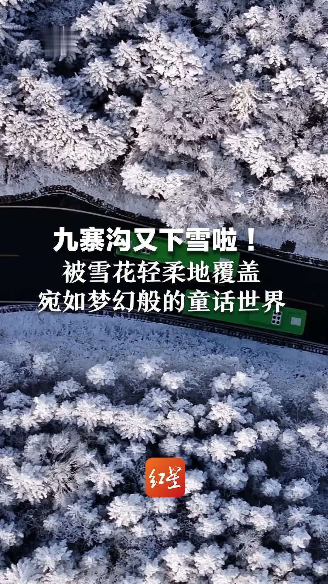 九寨沟又下雪啦 被雪花轻柔地覆盖 宛如梦幻般的童话世界