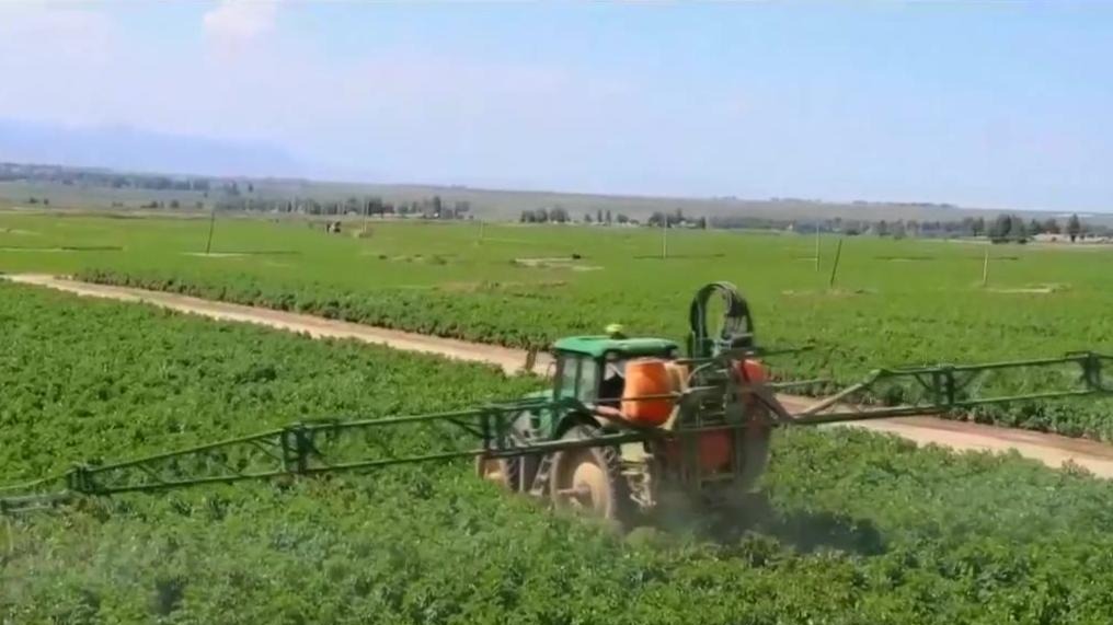 甘肃省全力推进高标准农田建设和盐碱地治理工作