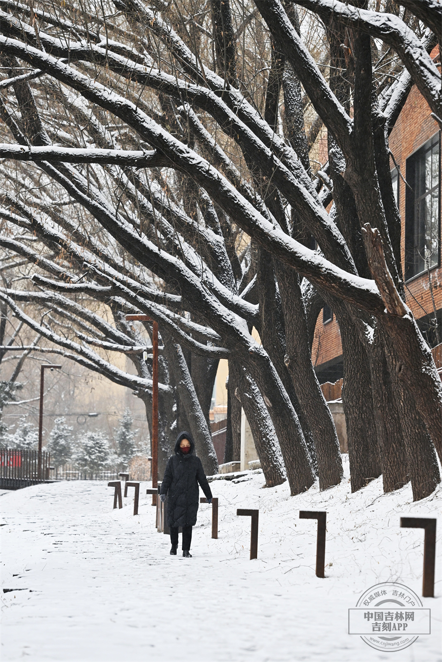 步入园区，映入眼帘的是一幅幅令人心旷神怡的绝美画卷。