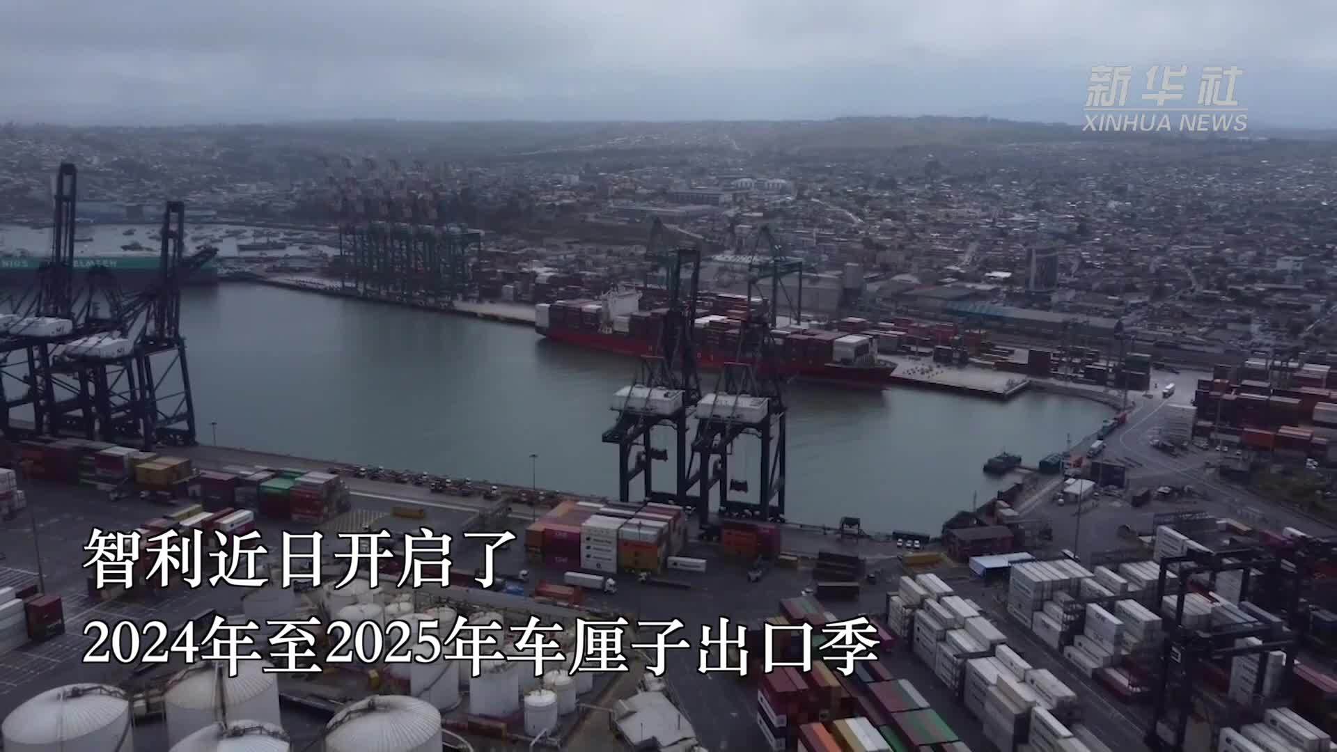 智利开启车厘子出口季