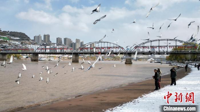 11月25日，甘肃兰州迎来降雪天气。图为市民雪后在黄河边休闲。(无人机照片)中新社记者　九美旦增　摄