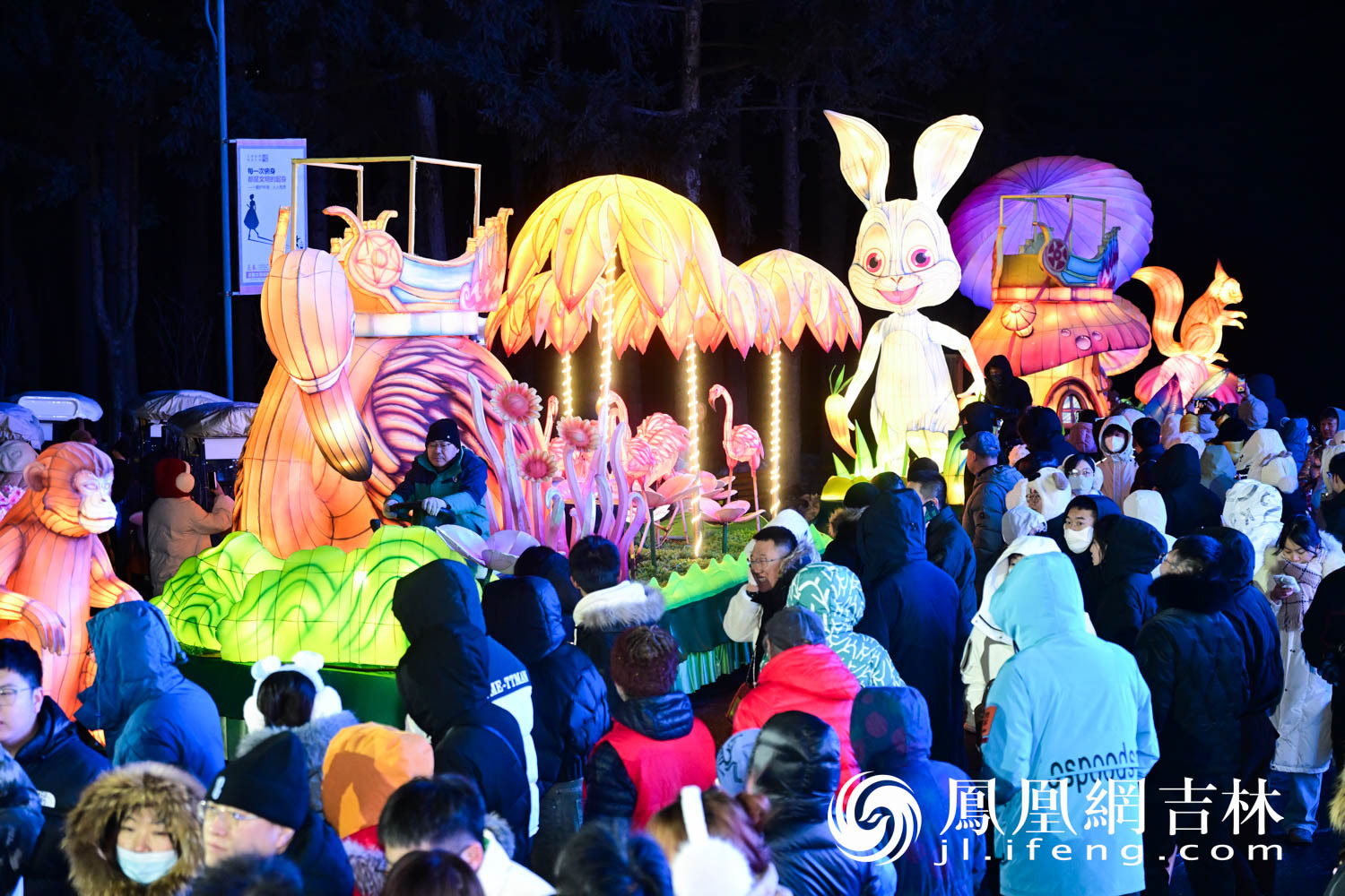 图集|长春动植物公园夜游焕新回归