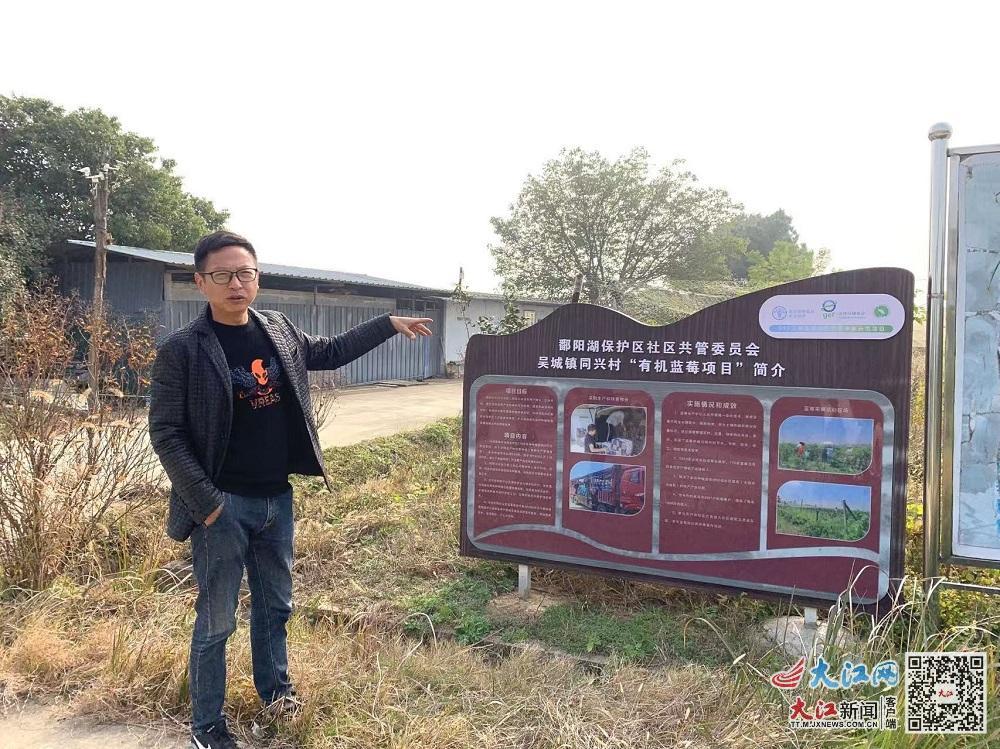 12月4日，张海平为记者介绍蓝莓基地吸纳退捕渔民再就业情况（郑周贇 摄）