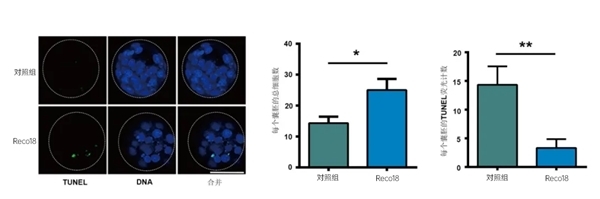 点击查看原始图片