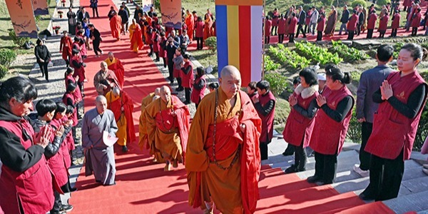 爱国侨僧伯圆长老系列活动现场直击