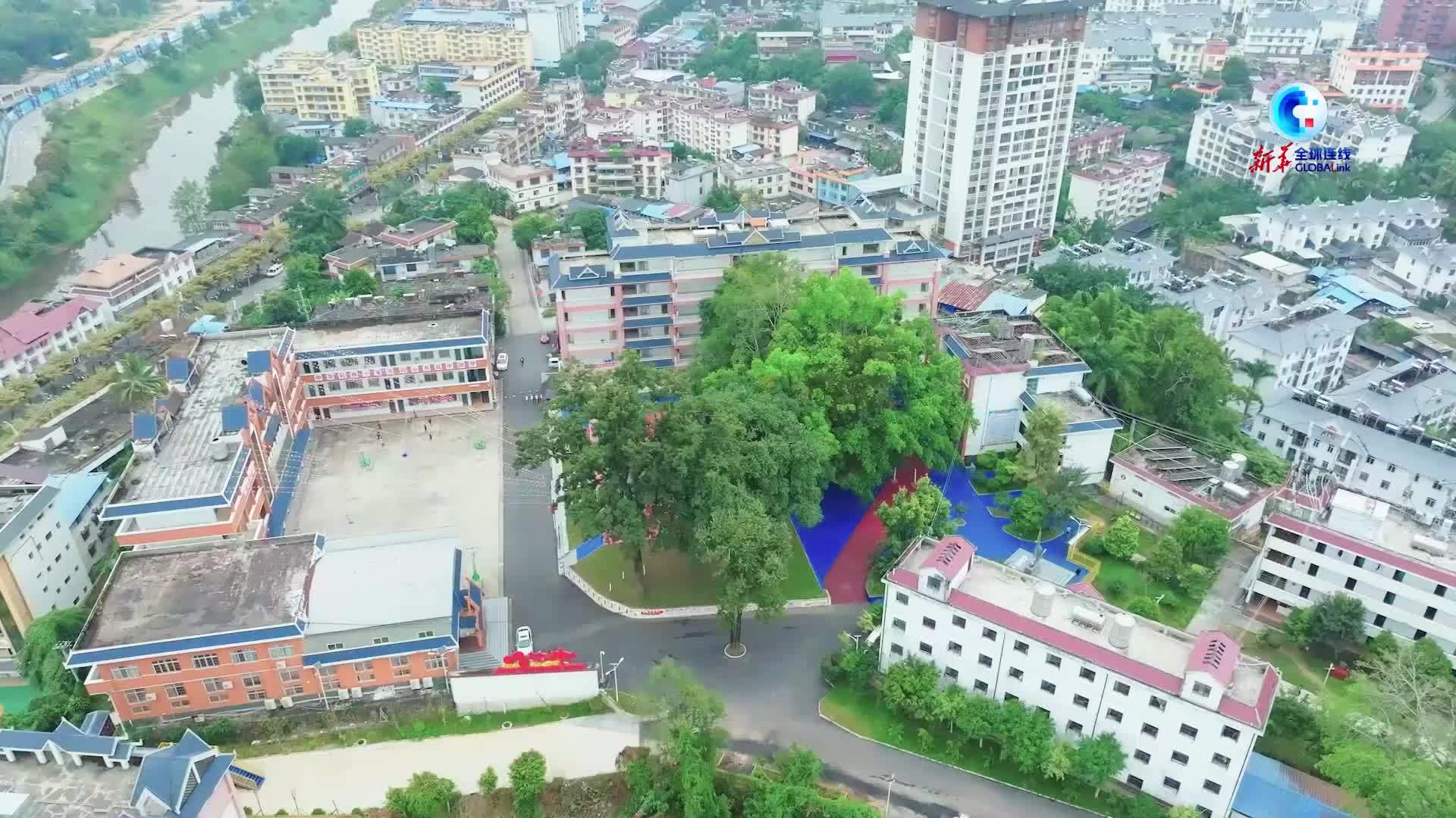 全球连线｜老挝学生云南勐腊留学记