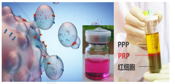 如图片无法显示,请刷新页面