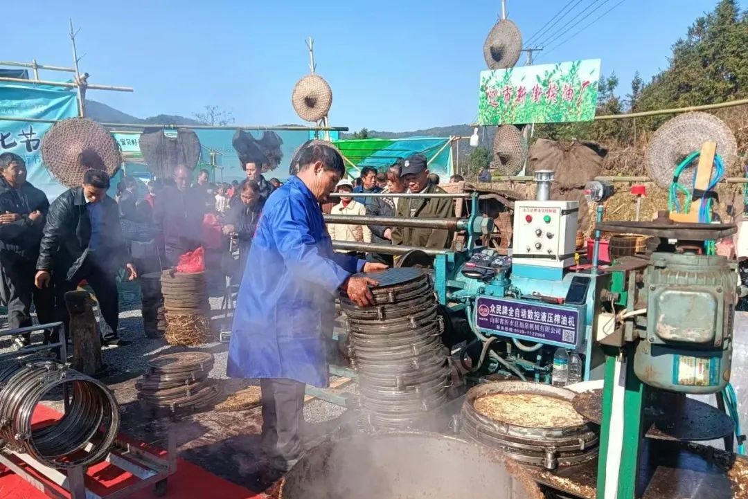 （现场操作茶油榨制工艺）