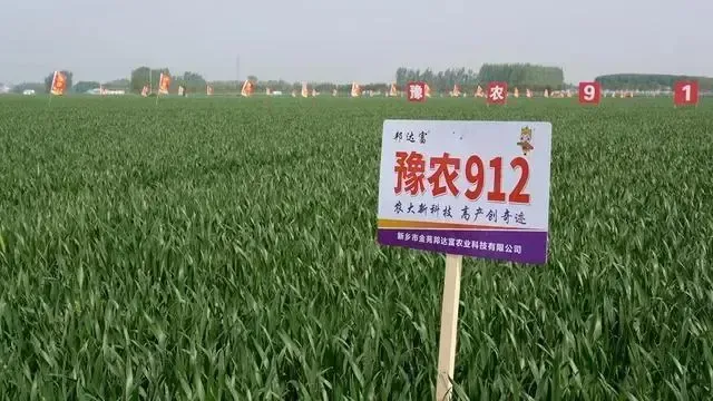 强化科技创新 河南推动种源自主可控凤凰网河南_凤凰网