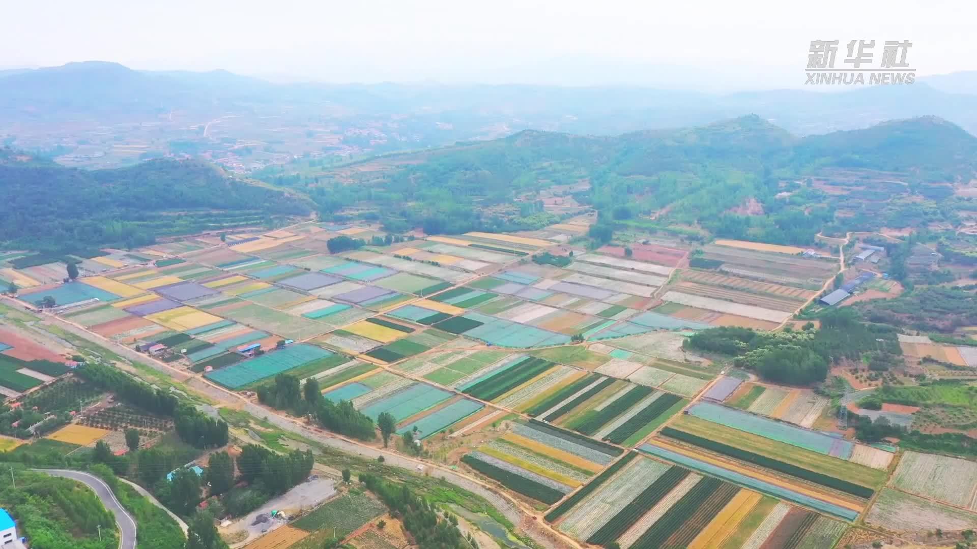 千城胜景｜山东潍坊：冬日田野展新颜