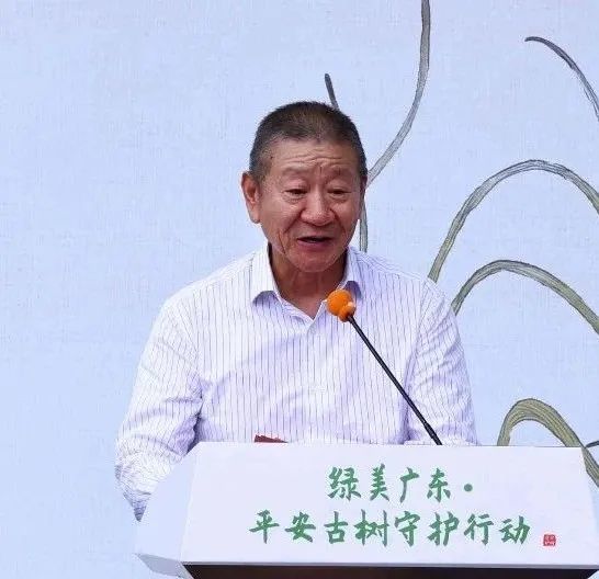平安集团监事会主席孙建一致辞