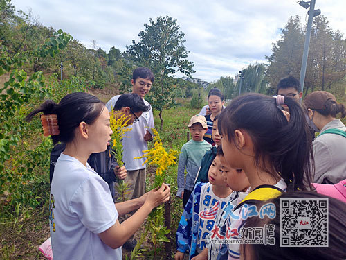 林奈实验室组织“清除加拿大一枝黄花大作战”公益活动。