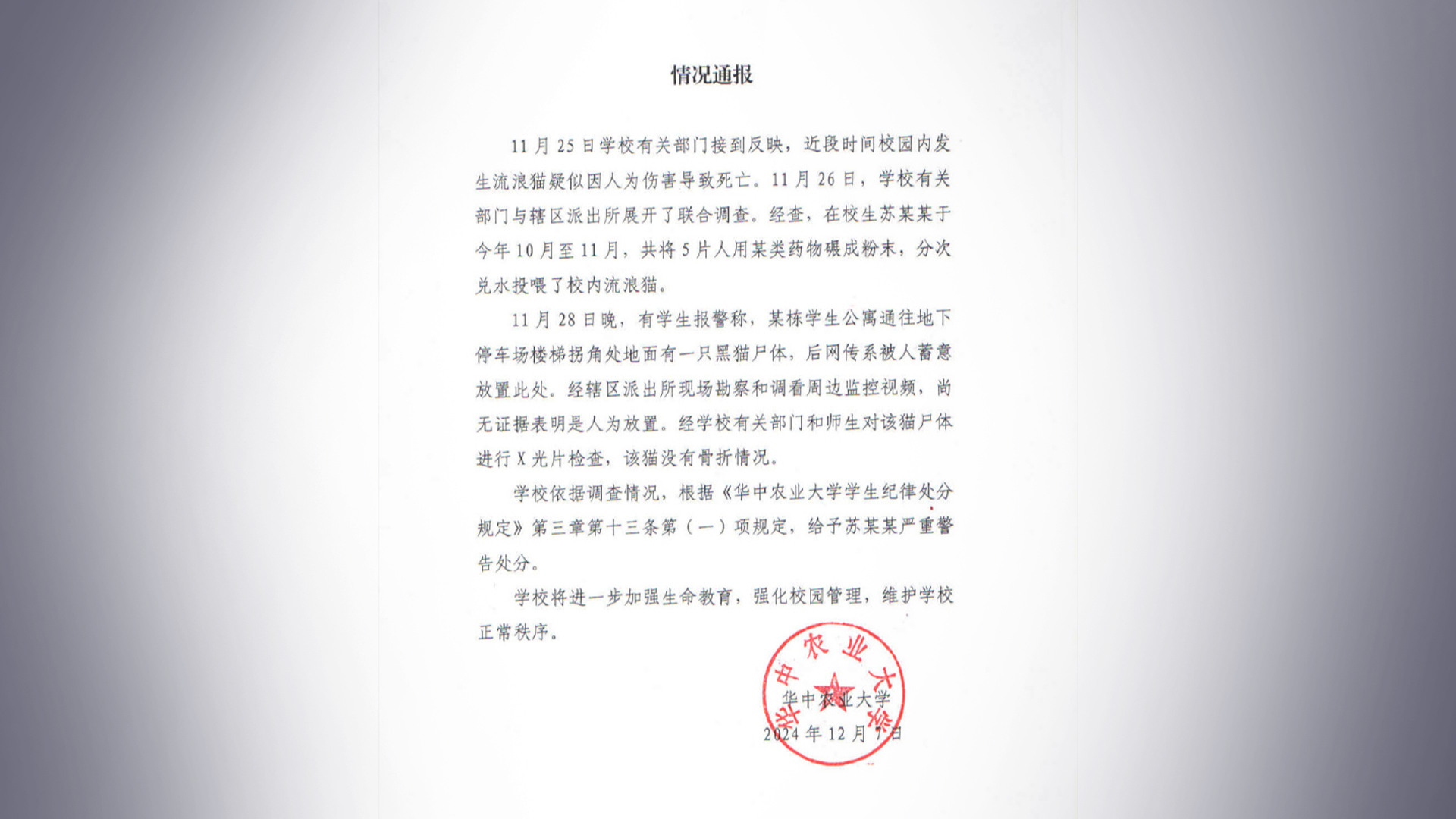 华中农大通报学生伤害流浪猫事件:在校生苏某某,严重警告_凤凰网资讯_凤凰网