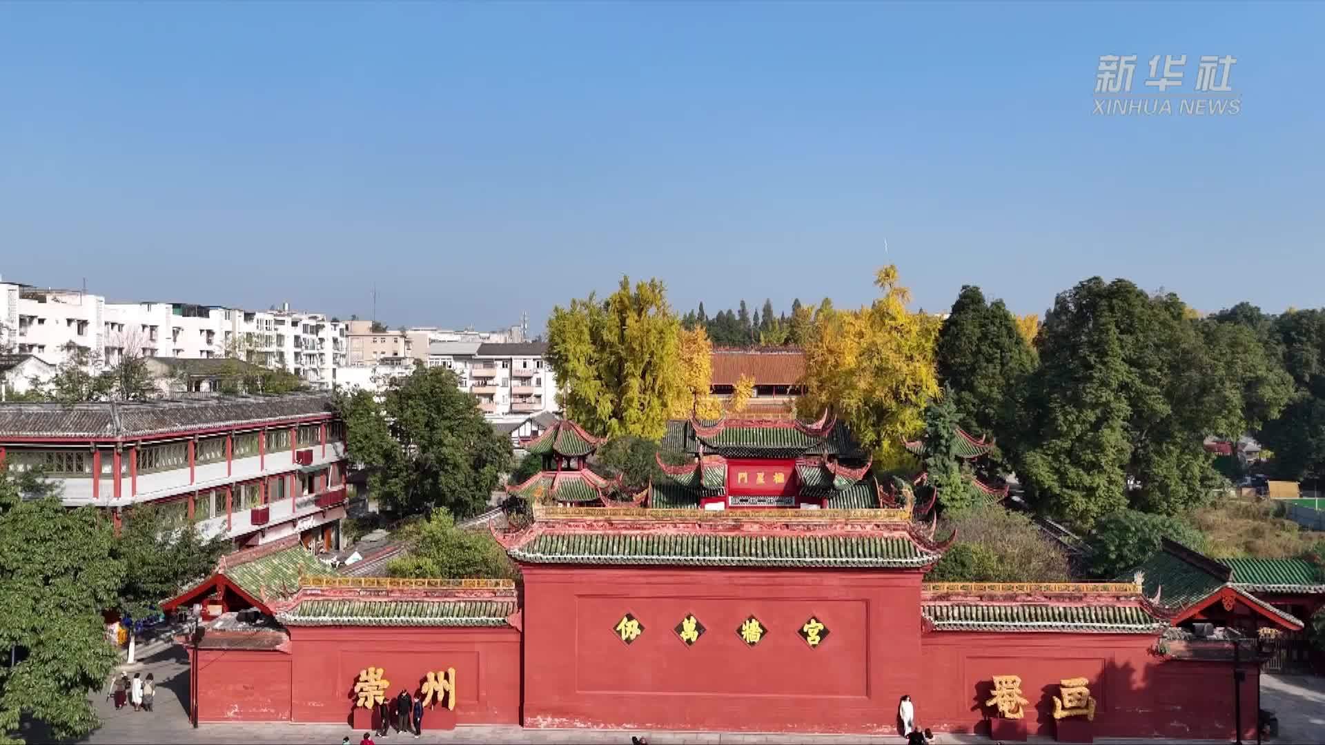 四川崇州：罨画池满目银杏黄