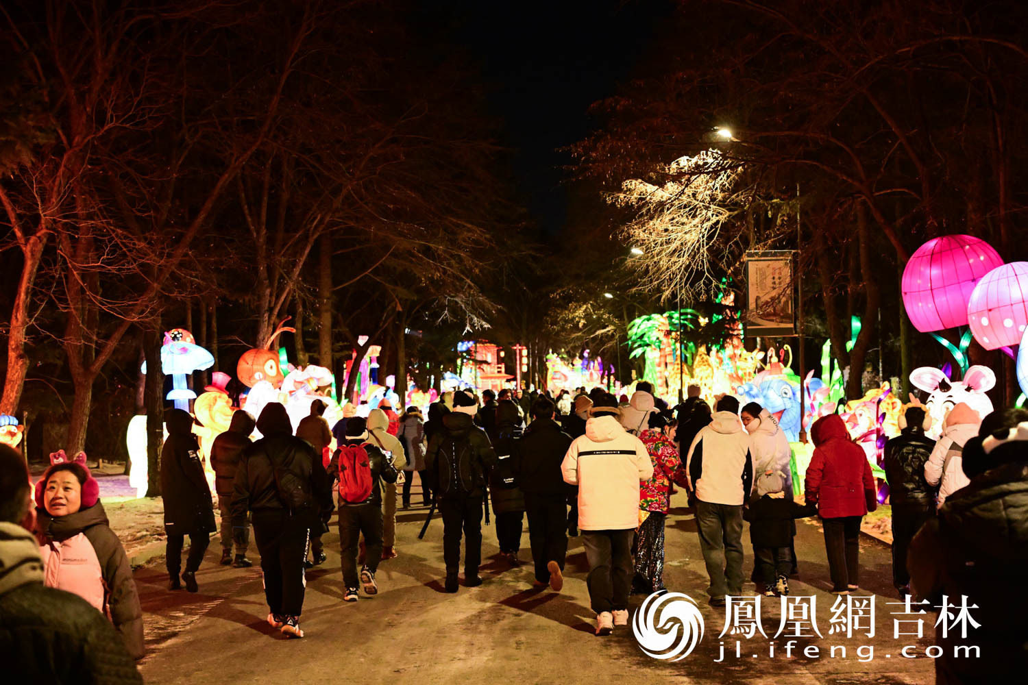 图集|长春动植物公园夜游焕新回归