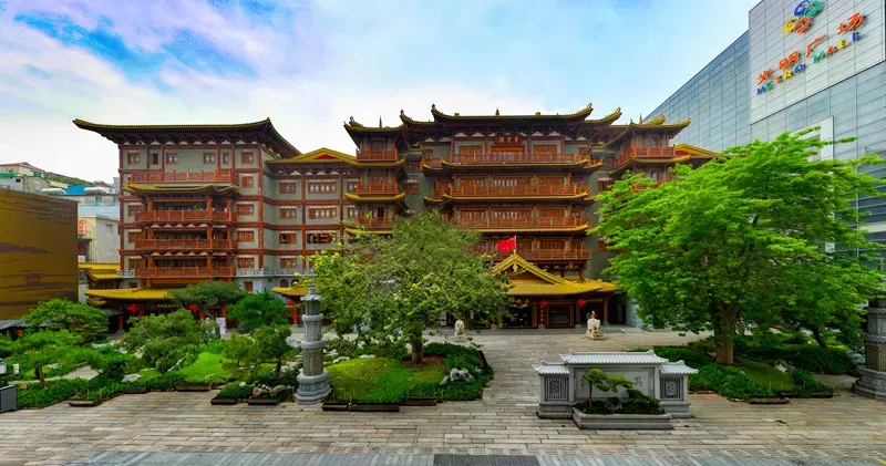 一寺一树 绿美广东 | 广州佛教界推动绿美生态寺院建设成效明显