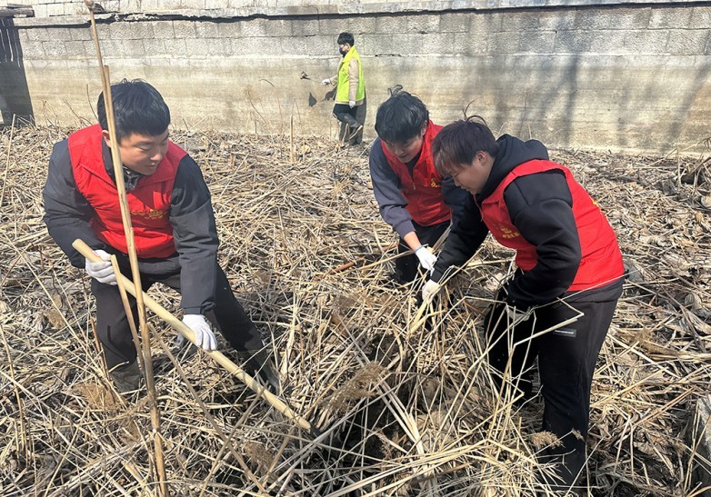 点击查看原始图片