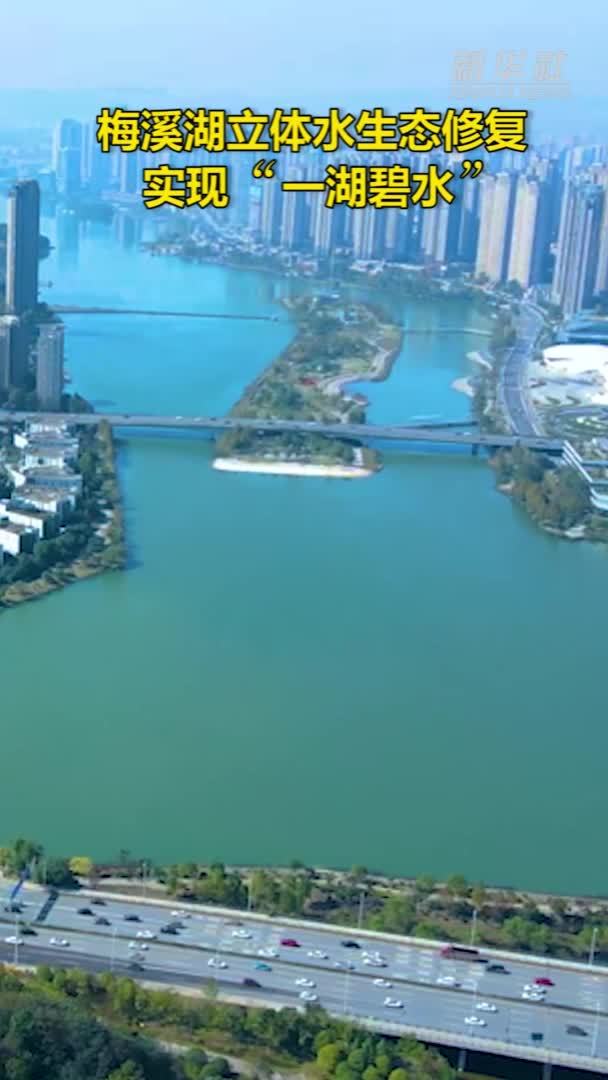 梅溪湖立体水生态修复 实现“一湖碧水”