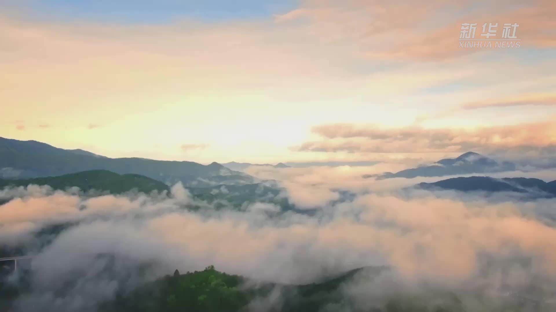 世界非遗｜黎族传统纺染织绣技艺