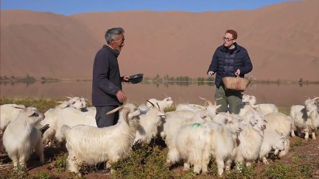 巴丹吉林沙漠中的老牧民，没上过一天学，却是村里有名的秀才