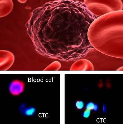 如图片无法显示,请刷新页面