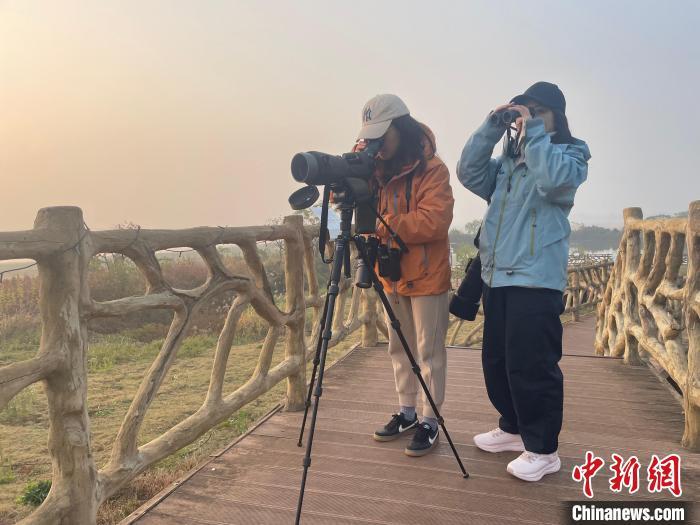 图为2024年鄱阳湖国际观鸟大赛现场，选手正在用望远镜和相机观鸟。永修县委宣传部供图