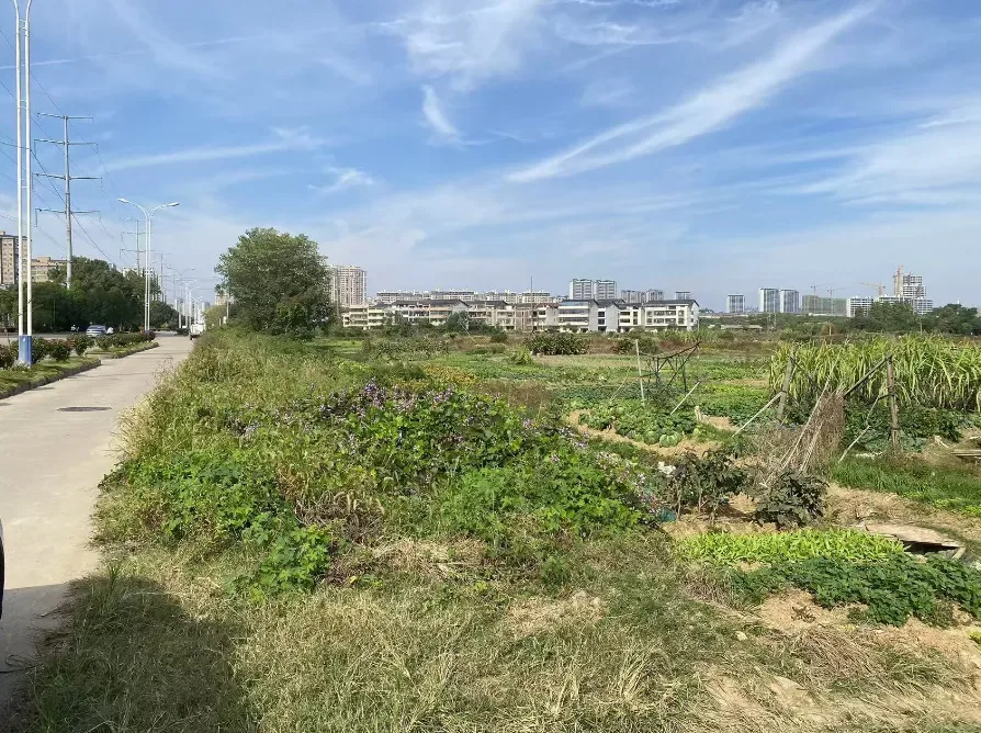 总成交价超6亿元 抚州6宗地块成功出让