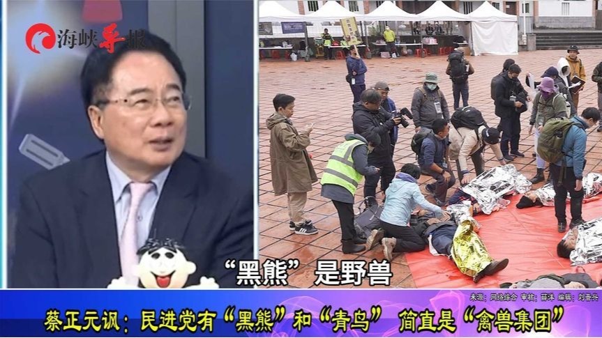 民进党有“青鸟”和“黑熊”，蔡正元讽：简直是“禽兽集团”