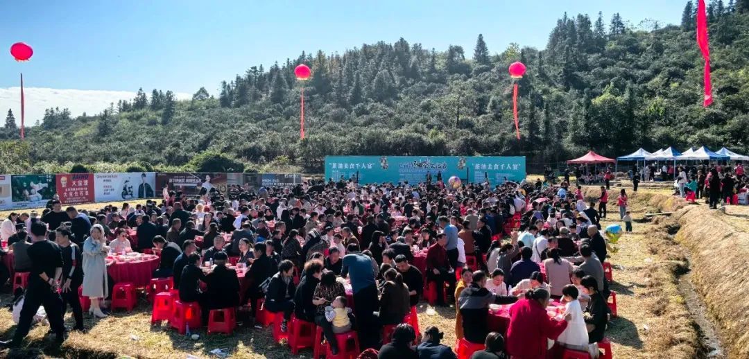 （茶油炒菜“千人宴”现场）