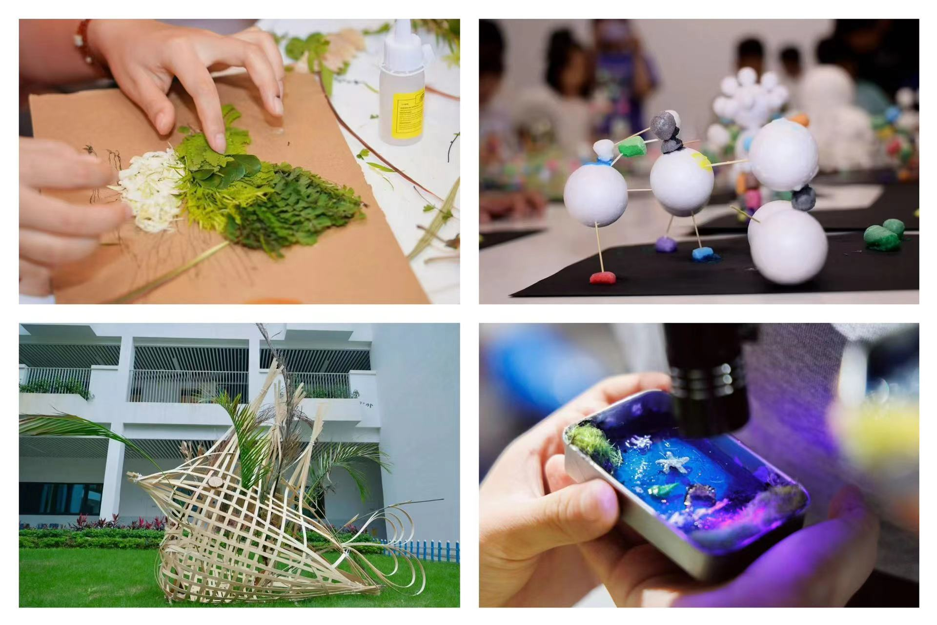 粤海街道生态保护进校园系列活动, “原木建筑工坊”在南山外国语学校(集团)高新中学成功举办