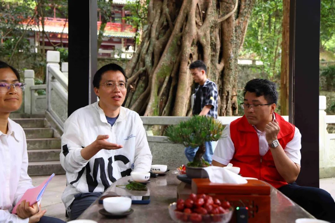南华禅寺开展绿美广东&middot;平安古树守护行动